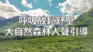 Bani Voice巴尼聲☆放鬆舒壓：大自然森林，人聲引導