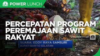 Peran Pemda Dorong Percepatan Program Peremajaan Sawit Rakyat