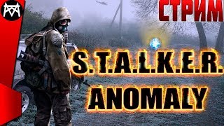 STALKER Anomaly 1.5.0 [Beta 2.4] ☢ СМОТРИНЫ ЗАГРАНИШНОГО МОДА) 25.01. в 21:00 по МСК