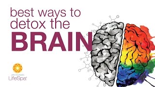 Best Ways to Detox the Brain | John Douillard's LifeSpa