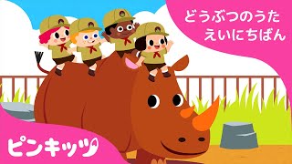 どうぶつえんにいこう | どうぶつのうた 日英版 | 子ども向け 英語の歌 | Peek-a-Zoo | おうち英語 | 知育動画 | キッズソング | ピンキッツ！