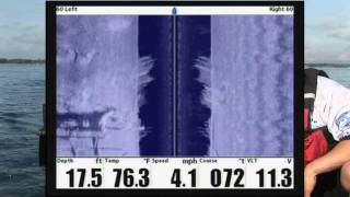 SI Ship Wreck Waypoint
