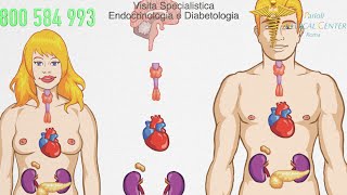 Visite specialistiche di: Endocrinologia e Diabetologia-Polispecialistico-Roma-parioli