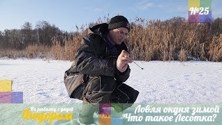 Ловля окуня зимой. Что такое Лесотка? [Рыбалка с Дядей Федором №25]