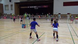 2018 제4회 PJB&프로스펙스 배드민턴 슈퍼리그 혼복30A 서기현/천주희 vs 박종호/임선진