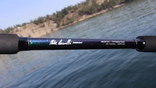 Let's Talk Fishing Rods! (Ike in the Shop)