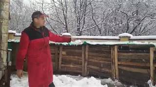 як горить котел Топко 6-а серія ТИРСА ДРОВА, ДРОВА ТИРСА