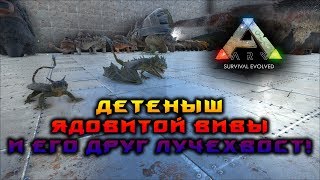 ДЕТЕНЫШ ВИВЫ И ЕГО ДРУГ ЛУЧЕХВОСТ! АРК!