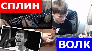 Волк под гитару Сплин ? аккорды cover