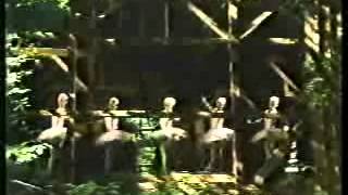 Swan Lake, Minnesota (1982)