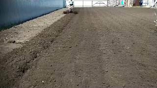 Мотоблок НЕВА. Гус  лапки. 01062018