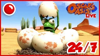 NEW Oscar's Oasis - HD Live Stream Full Episodes 24/7 ?