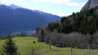 Timelapse Nikon 8800
