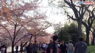 Du lịch Mỹ - Mỹ du ký (phần 3): Washington DC