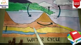 चार्ट/Chart, मॉडल/Model, etc for BTC/DELED 2nd Semester, B.ed |Electronic Study|