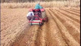 cultivating soil for planting strawberries(izrada bankova)