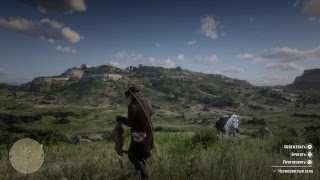 RDR 2 Освежевание
