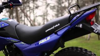 Мотоцикл Эндуро WELS 250