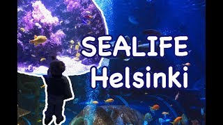 Аквамир в Хельсинки "SEALIFE". Лучшие места для прогулок с детьми.