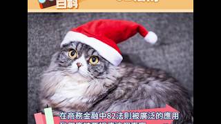 【少數才是王道！你不知道的82法則】