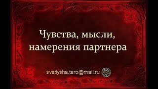 ОНЛАЙН ГАДАНИЕ. ЧУВСТВА, МЫСЛИ, НАМЕРЕНИЯ ПАРТНЕРА
