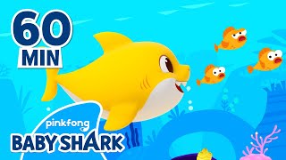 Baby Shark Doo Doo Doo 60 Min | +Compilation | Baby Shark Remix 