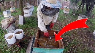 ПЛЮСЫ КУЛЬКОВ С СИРОПОМ ПРИ ПОДКОРМКЕ ПЧЕЛ НА ЗИМУ!