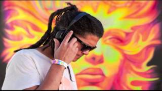 DJ Shane Gobi Boom Festival 2012 Set