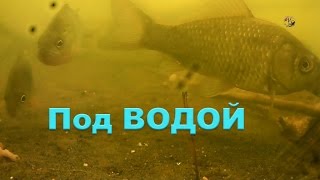 На Рыбалке. Под водой, ловил поплавочной удочкой. Подводная съемка. Поклевки. Fishing. поплавок