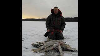 Щука на зимние жерлицы, первый лед 2014 ч.1