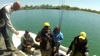 Трофеи Ukrainian Co-Fishing