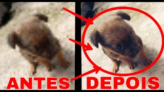 Como editar uma foto de baixa qualidade