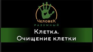 Клетка. Очищение клетки ("Человек-Разумный", 2015)