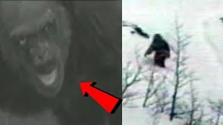 ВОТ КАК ВЫГЛЯДИТ ЖУТКОЕ ЛИЦО СНЕЖНОГО ЧЕЛОВЕКА.  7 САМЫХ НАСТОЯЩИХ ВИДЕО О БИГФУТЕ И САСКВОЧЕ
