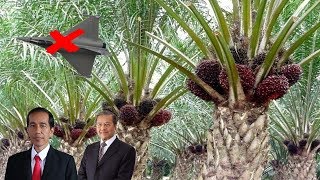 EROPA BOIKOT MINYAK SAWIT Malaysia dan Indonesia KOMPAK Tidak Akan Beli Jet tempur UNI EROPA