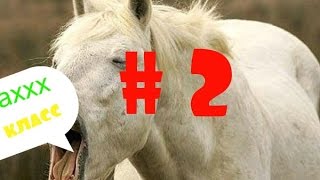 № 2. Свечка на мопеде Hors Motors 057!