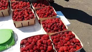 Путивль без комментариев №91  Лето 2019