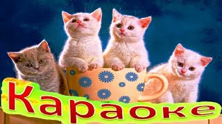 КОТЯТА и Другие ВЕСЕЛЫЕ Песенки КАРАОКЕ Для Детей