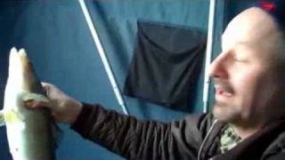 Подледный лов судака на зимние воблеры Salmo Chubby Darters