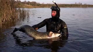 МОЯ ВТОРАЯ ЖИЗНЬ. ПОДВОДНАЯ ОХОТА. SPEARFISHING