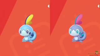 Tous les shiny de Pokémon épée ⚔️ et bouclier ?