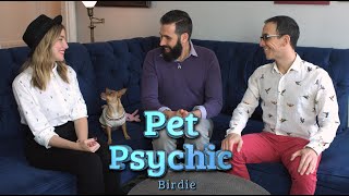 Pet Psychic: Ep 3 Birdie