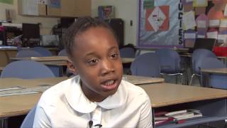 Mentoring Works PSA 2013