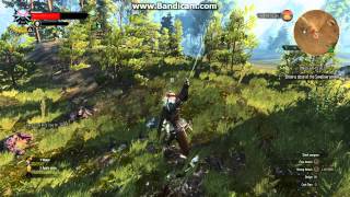 The Witcher 3: Quality Test - Lenovo Y410p GT 755m