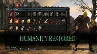 Dark Souls 2 Invisible Aurous Armour set