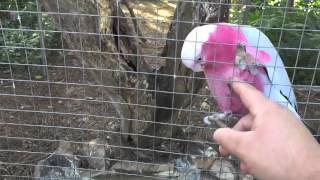 Birdland Animal Park
