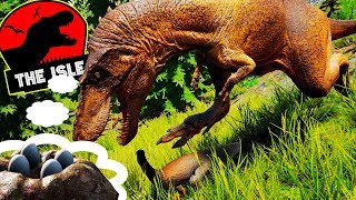 T REX Juvenil, Dinossauros Agressivos, Carnívoros Por Todos Os Lados!! | The Isle Realismo | (PT/BR)