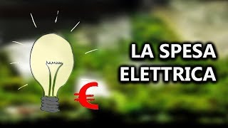 Quanto CONSUMA un ACQUARIO? CALCOLO Spesa e Consumo ENERGETICO