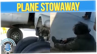 Stowaway Found Hiding Inside Landing Gear of American Airlines Plane