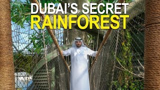 DUBAI'S SECRET RAINFOREST